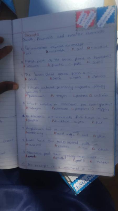 Assessment activities